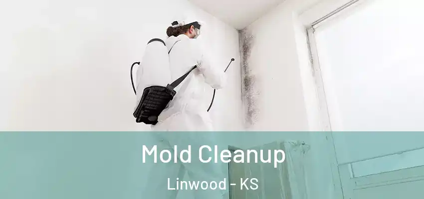  Mold Cleanup Linwood - KS