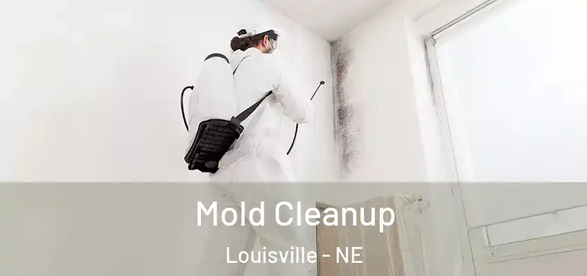  Mold Cleanup Louisville - NE