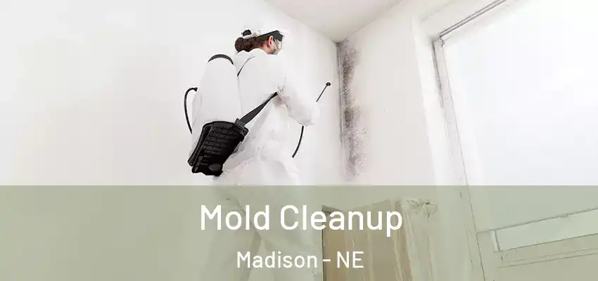 Mold Cleanup Madison - NE