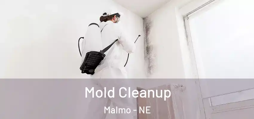 Mold Cleanup Malmo - NE