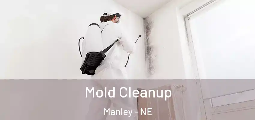 Mold Cleanup Manley - NE