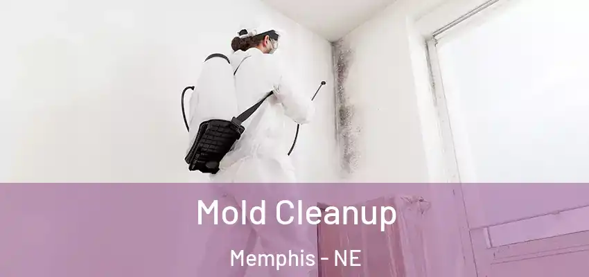 Mold Cleanup Memphis - NE