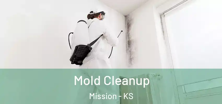  Mold Cleanup Mission - KS