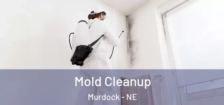 Mold Cleanup Murdock - NE