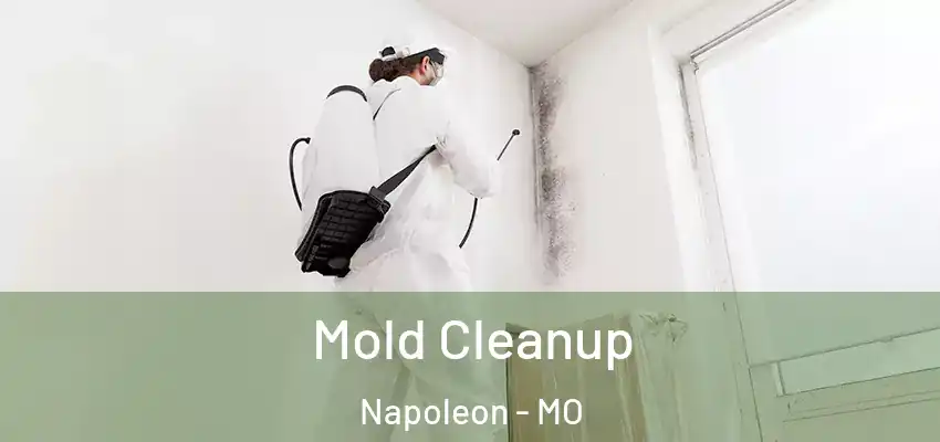 Mold Cleanup Napoleon - MO