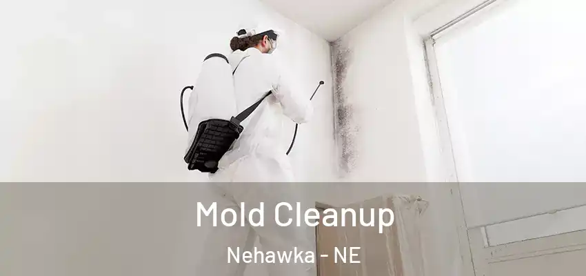  Mold Cleanup Nehawka - NE