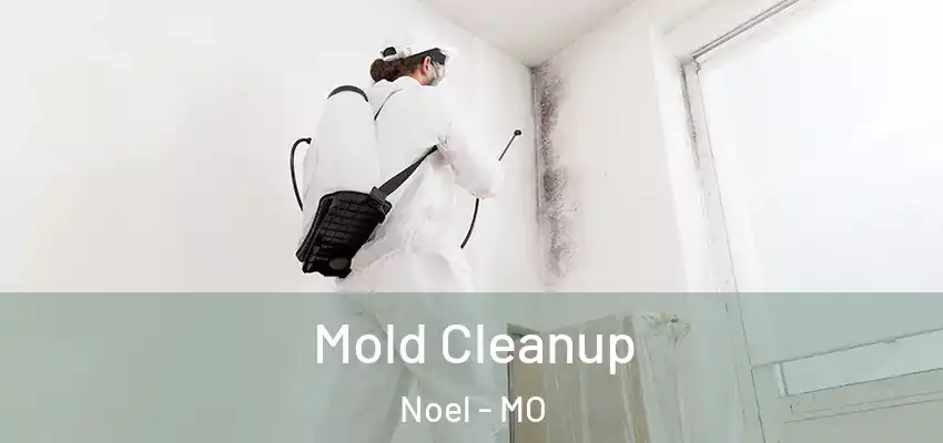  Mold Cleanup Noel - MO