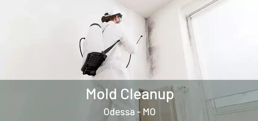  Mold Cleanup Odessa - MO
