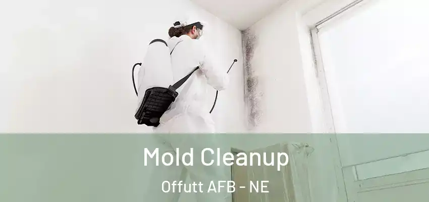  Mold Cleanup Offutt AFB - NE
