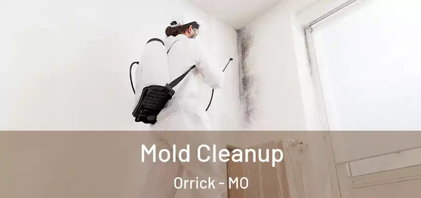  Mold Cleanup Orrick - MO