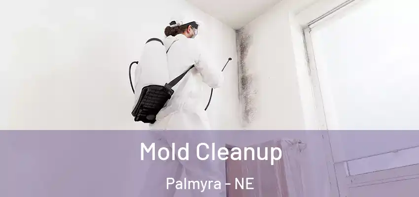  Mold Cleanup Palmyra - NE