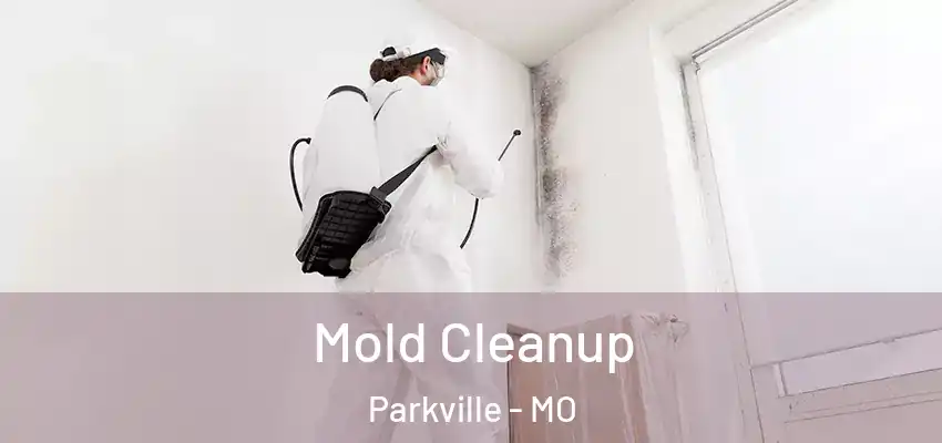  Mold Cleanup Parkville - MO