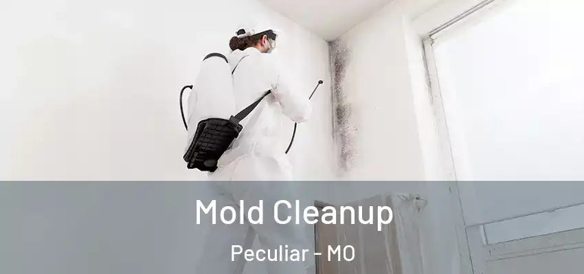 Mold Cleanup Peculiar - MO