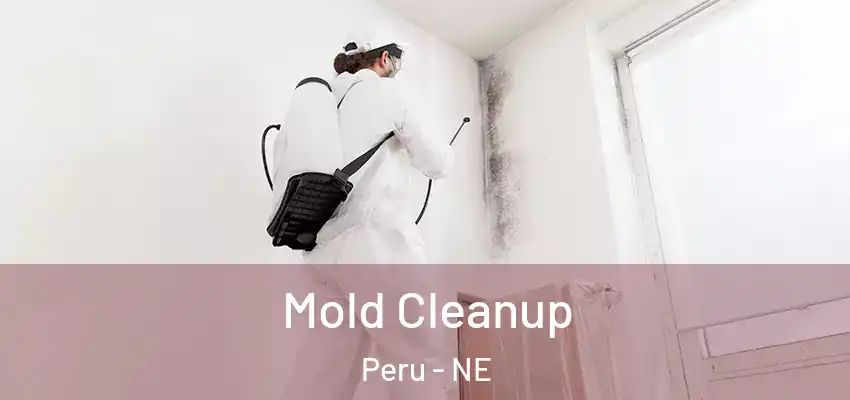 Mold Cleanup Peru - NE