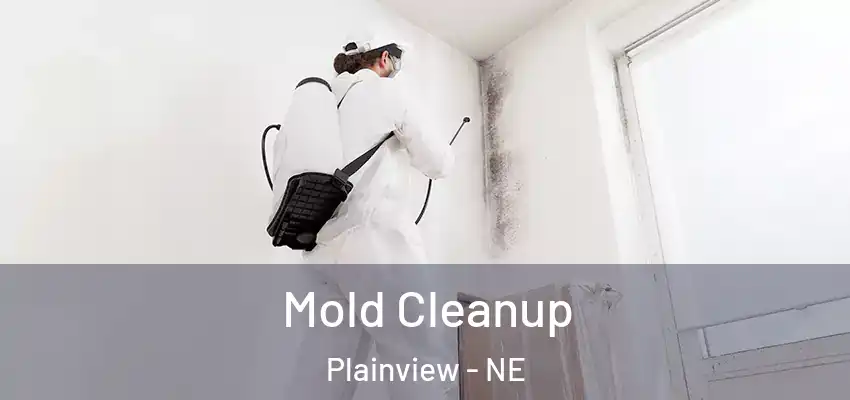  Mold Cleanup Plainview - NE