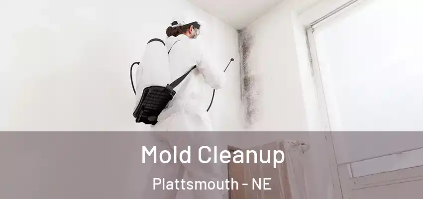  Mold Cleanup Plattsmouth - NE
