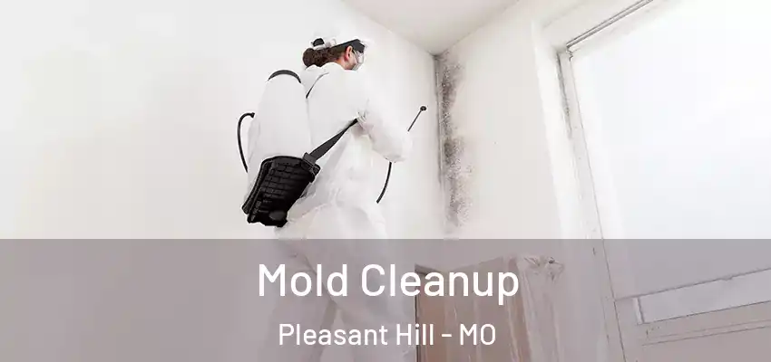 Mold Cleanup Pleasant Hill - MO