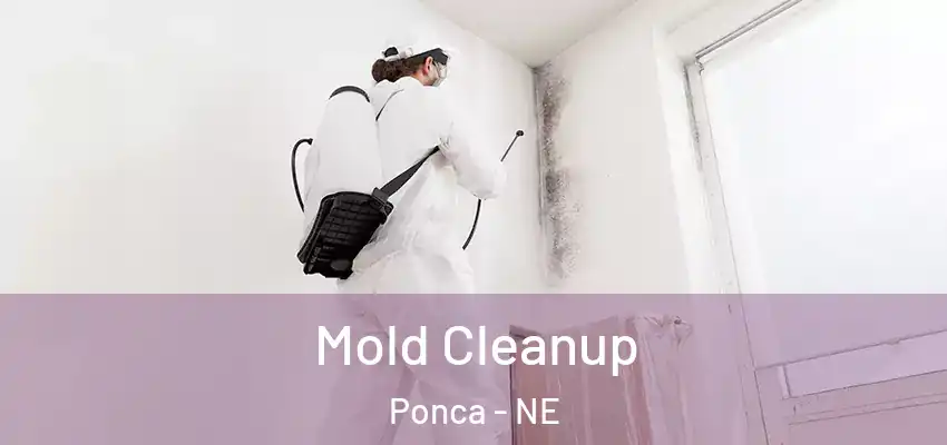 Mold Cleanup Ponca - NE