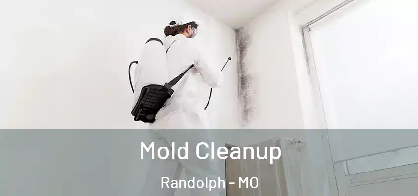  Mold Cleanup Randolph - MO