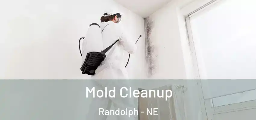 Mold Cleanup Randolph - NE