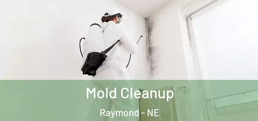Mold Cleanup Raymond - NE