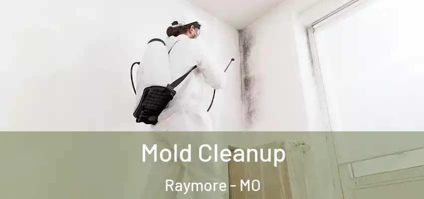  Mold Cleanup Raymore - MO