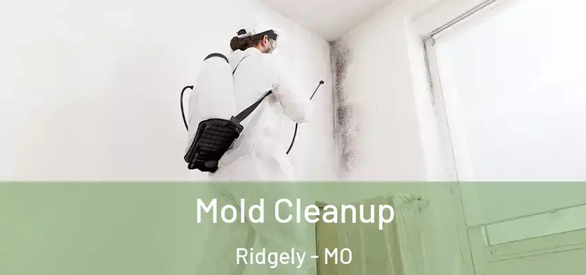 Mold Cleanup Ridgely - MO