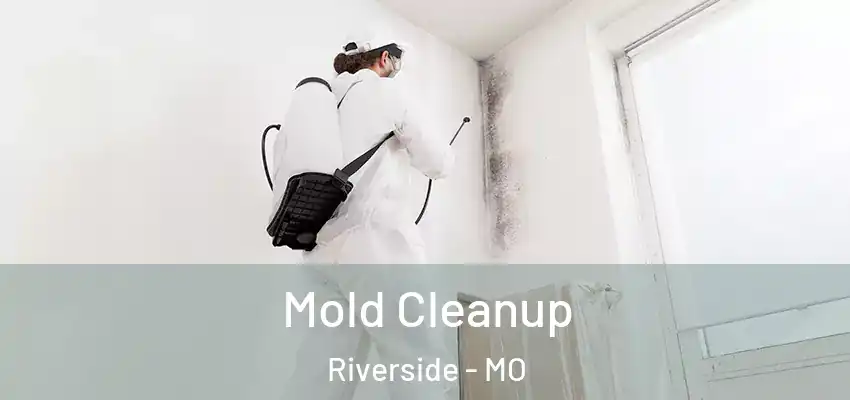  Mold Cleanup Riverside - MO