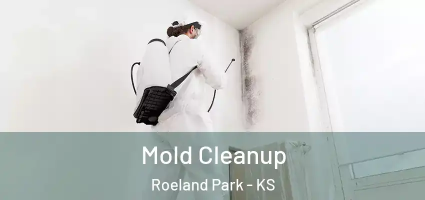  Mold Cleanup Roeland Park - KS