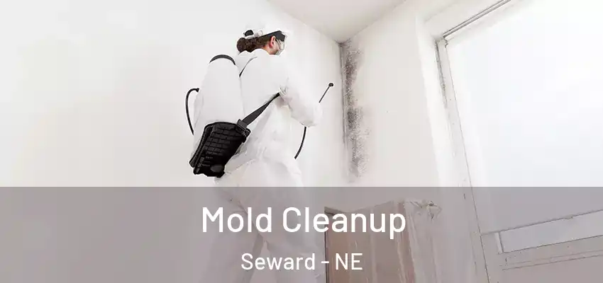 Mold Cleanup Seward - NE