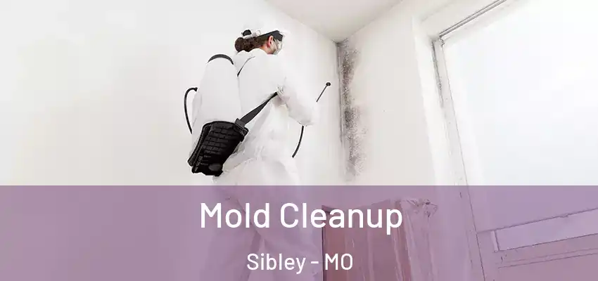 Mold Cleanup Sibley - MO