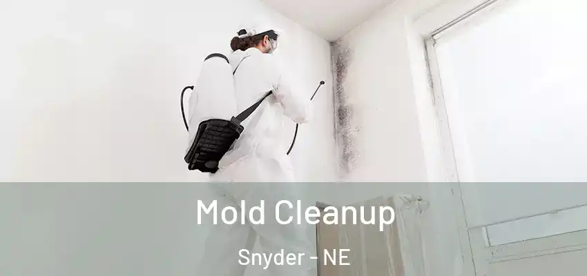 Mold Cleanup Snyder - NE