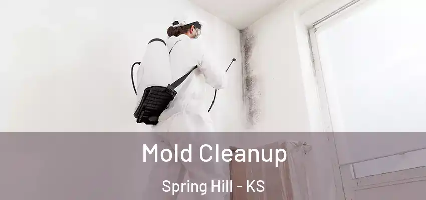  Mold Cleanup Spring Hill - KS