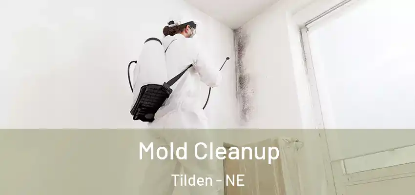  Mold Cleanup Tilden - NE