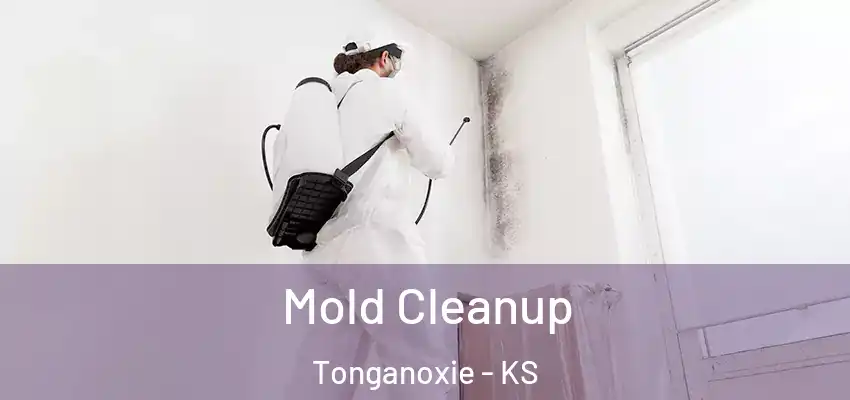  Mold Cleanup Tonganoxie - KS