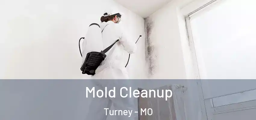  Mold Cleanup Turney - MO