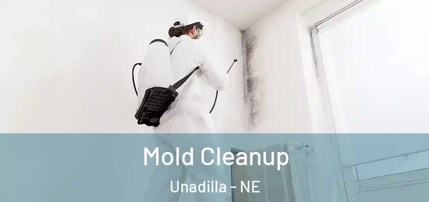  Mold Cleanup Unadilla - NE