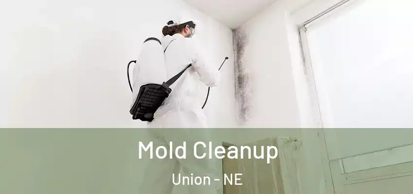Mold Cleanup Union - NE