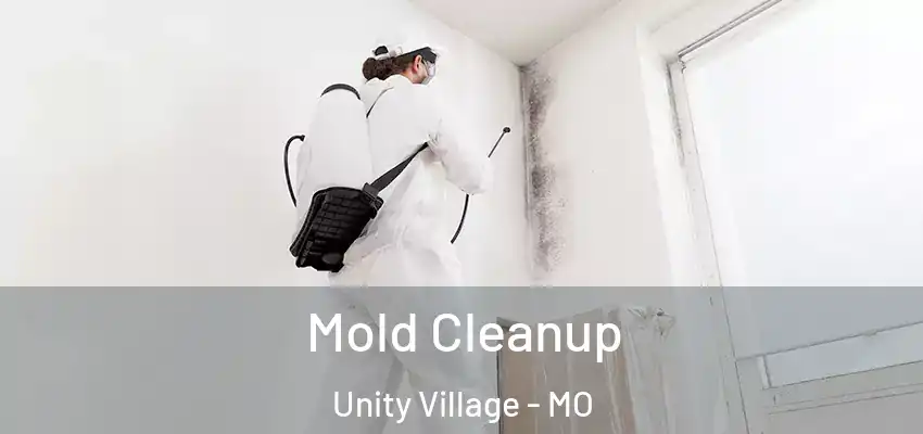  Mold Cleanup Unity Village - MO