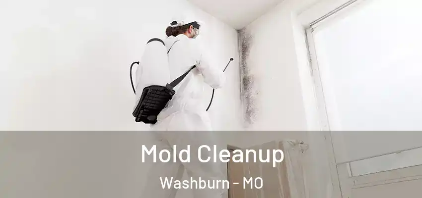  Mold Cleanup Washburn - MO