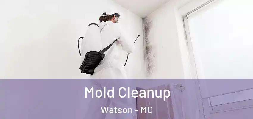  Mold Cleanup Watson - MO
