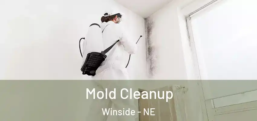  Mold Cleanup Winside - NE