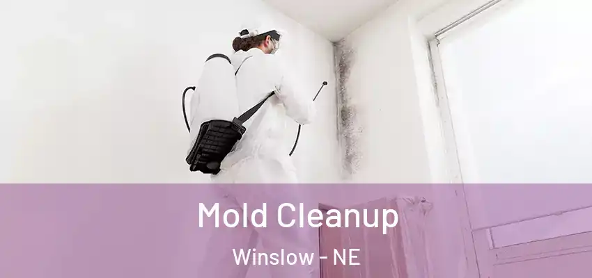  Mold Cleanup Winslow - NE