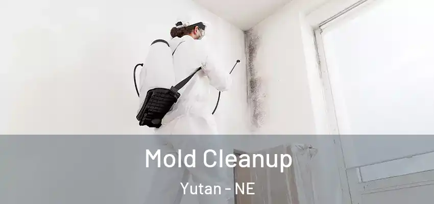 Mold Cleanup Yutan - NE