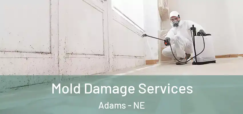  Mold Damage Services Adams - NE
