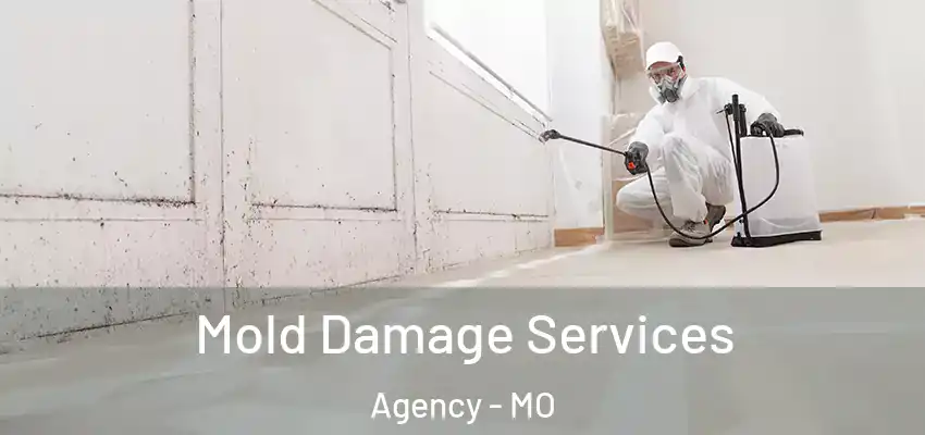Mold Damage Services Agency - MO