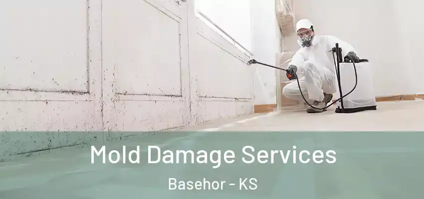 Mold Damage Services Basehor - KS