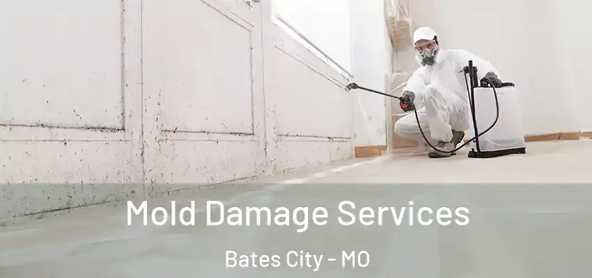 Mold Damage Services Bates City - MO