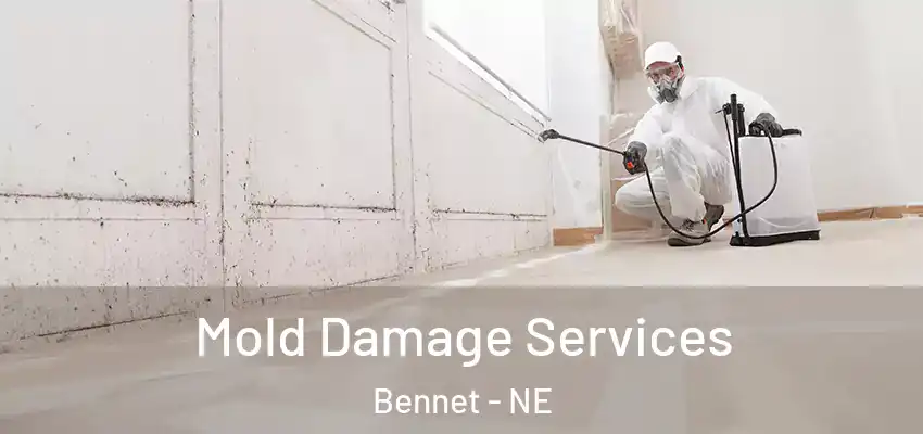 Mold Damage Services Bennet - NE