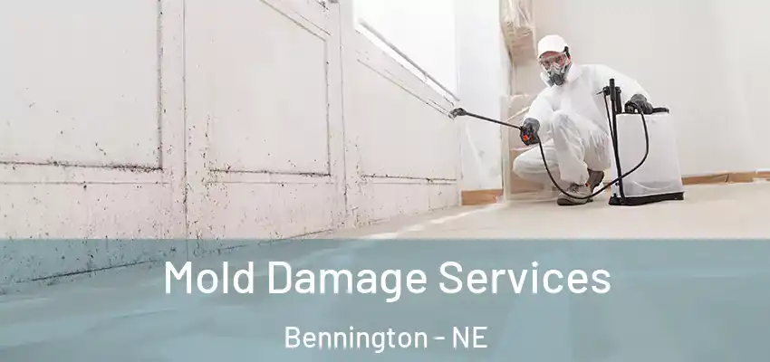  Mold Damage Services Bennington - NE